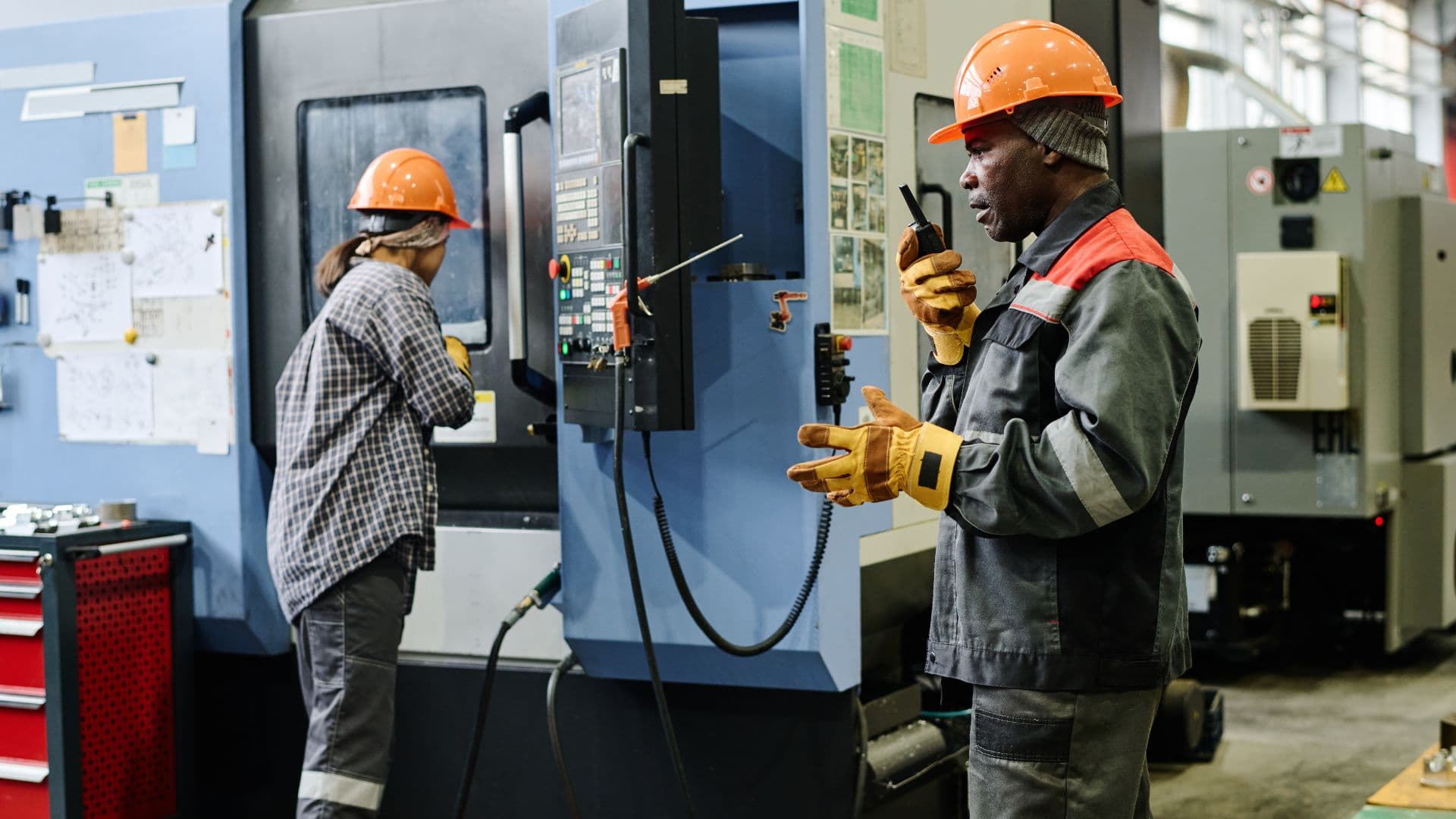 Les entreprises qui survivent vs celles qui s’organisent